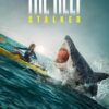 The Reef Stalked (2022) ครีบพิฆาต