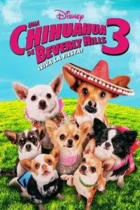 Beverly Hills Chihuahua 3 Viva La Fiesta (2012) คุณหมาไฮโซ โกบ้านนอก ภาค 3